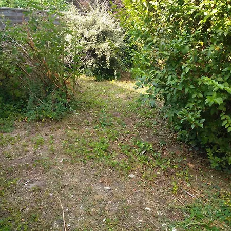 Familial - Jardin - Ps4 *